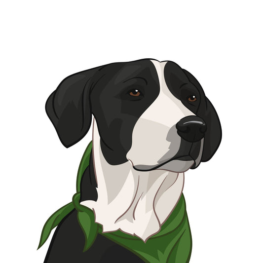 Custom Pet Portrait Illustration - Cartoon Avatars